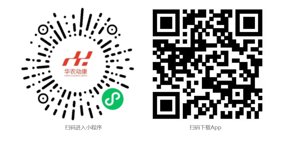 凯发天生赢家一触即发App下载和微信小程序二维码
