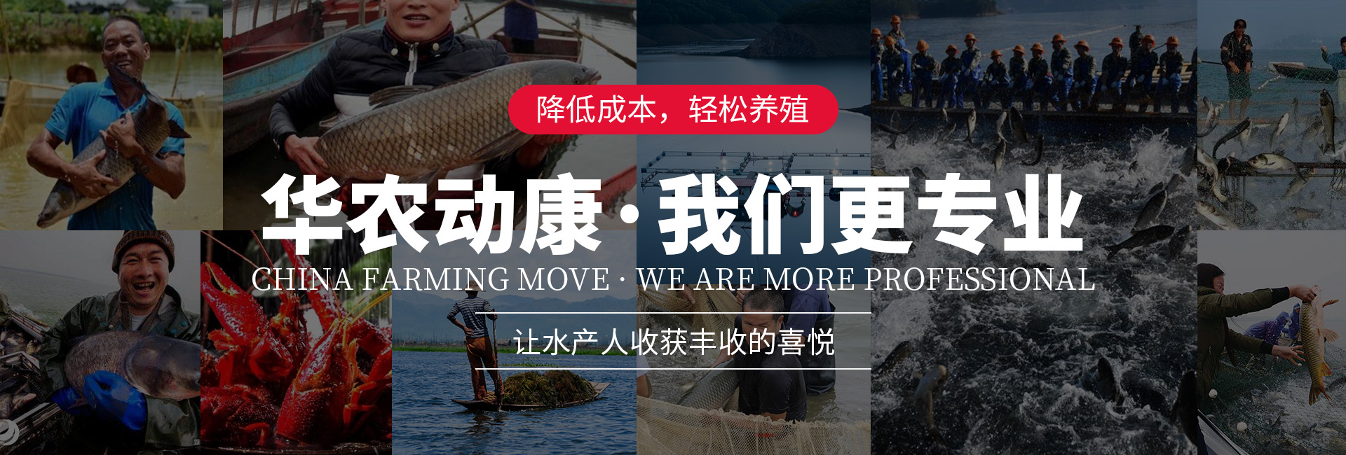 凯发天生赢家一触即发bannner图
